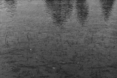 Field Reflection - AZ Field Reflection - AZ